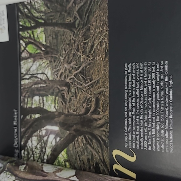 2010 LIFE BOOKS - WONDERS OF LIFE - THE AMAZING WORLD OF NATURE - Picture 7 of 16